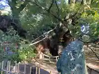 浜松八幡宮(静岡県)