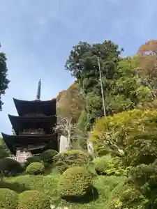 国宝 大法寺(長野県)(2024年11月04日(月) 08時18分04秒投稿)