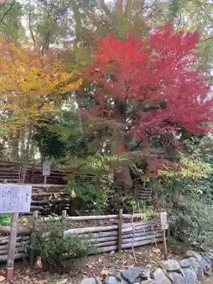 平塚八幡宮(神奈川県)