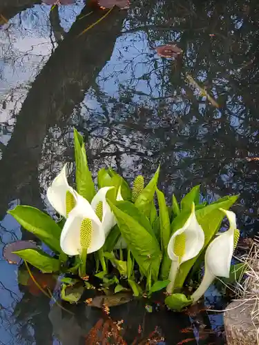 普門院（文知摺観音）(福島県)