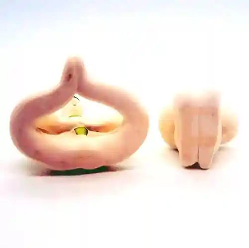 住吉大社(大阪府)