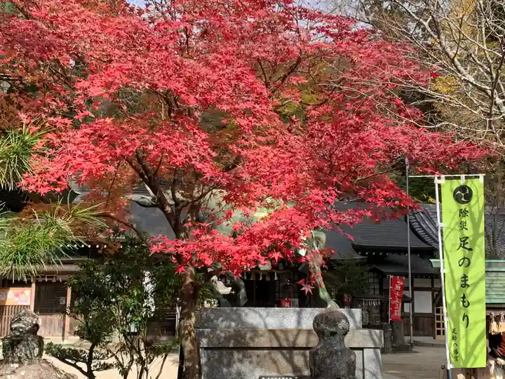 足助八幡宮の自然