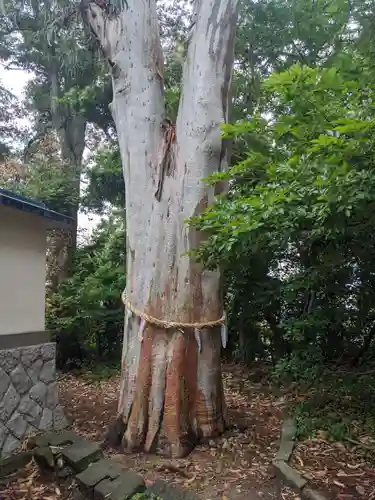 元城町東照宮の自然