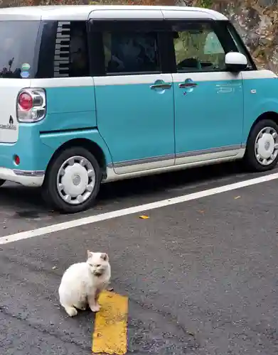 唐澤山神社の動物