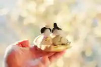 浄土寺(兵庫県)