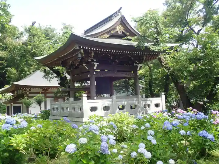 妙楽寺(神奈川県)