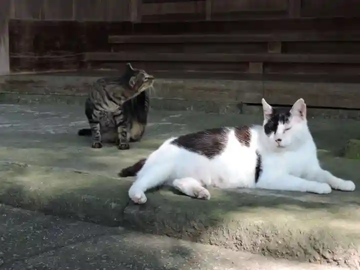 唐澤山神社(栃木県)