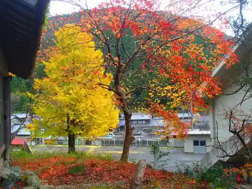 春日神社の自然