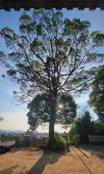 川上神社(愛媛県)