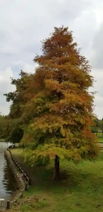 香取神社の自然