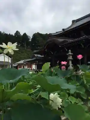 三室戸寺の本殿・本堂