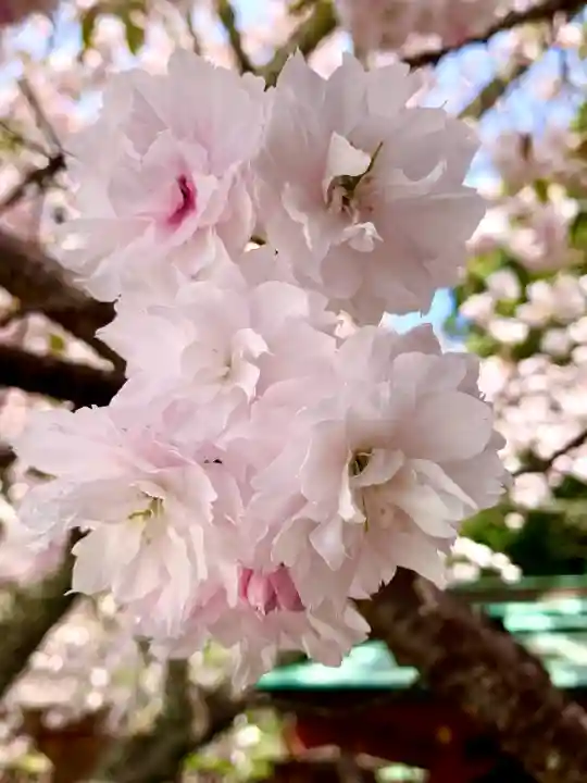 志波彦神社・鹽竈神社の{uncategorized: "未分類", other: "その他", undefined: "問題あり", building: "その他建物", grave: "お墓", sacred_gate: "鳥居", guardian: "狛犬", statue: "像", buddha: "仏像", history: "歴史", nature: "自然", garden: "庭園", animal: "動物", pagoda: "塔", temizu: "手水舎", mountain_gate: "山門・神門", sanctuary: "本殿・本堂", subordinate: "末社・摂社", art: "芸術", scenery: "景色", jizo: "地蔵", ema: "絵馬", goshuin: "御朱印", omikuji: "おみくじ", items: "授与品その他", amulet: "お守り", goshuincho: "御朱印帳", eats: "食事", festival: "お祭り", votive_dance: "神楽", shichigosan: "七五三参", wedding: "結婚式", experience: "体験その他", initially: "初詣", around: "周辺", anti_infection: "感染症対策"}