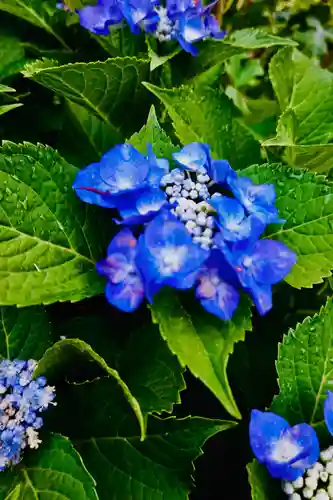 耕田院(山形県)