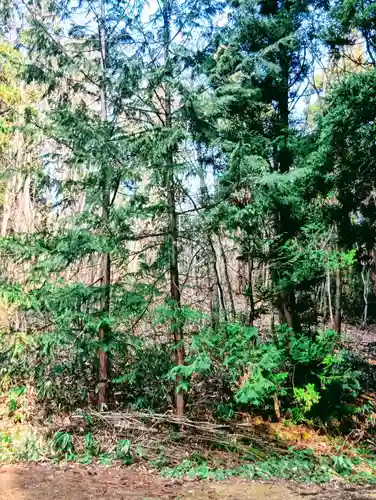 諏訪神社(福島県)