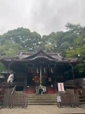 代々木八幡宮の{uncategorized: "未分類", other: "その他", undefined: "問題あり", building: "その他建物", grave: "お墓", sacred_gate: "鳥居", guardian: "狛犬", statue: "像", buddha: "仏像", history: "歴史", nature: "自然", garden: "庭園", animal: "動物", pagoda: "塔", temizu: "手水舎", mountain_gate: "山門・神門", sanctuary: "本殿・本堂", subordinate: "末社・摂社", art: "芸術", scenery: "景色", jizo: "地蔵", ema: "絵馬", goshuin: "御朱印", omikuji: "おみくじ", items: "授与品その他", amulet: "お守り", goshuincho: "御朱印帳", eats: "食事", festival: "お祭り", votive_dance: "神楽", shichigosan: "七五三参", wedding: "結婚式", experience: "体験その他", initially: "初詣", around: "周辺", anti_infection: "感染症対策"}