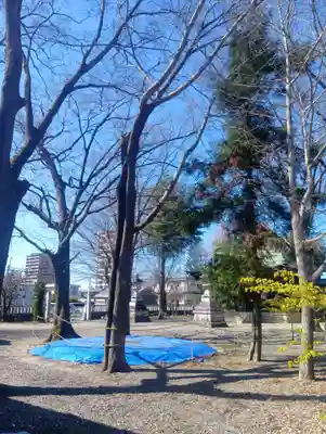 津島神社(岐阜県)