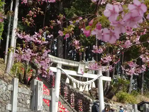 素盞嗚神社の鳥居