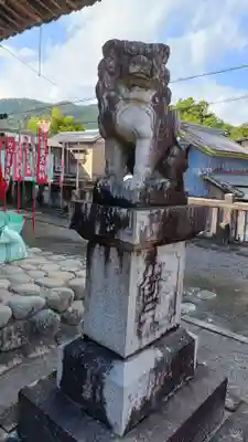 熊野神社（八百津）の狛犬