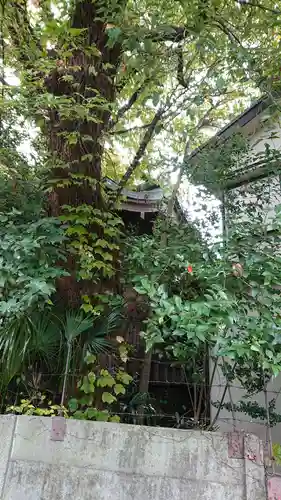 住吉神社のその他建物
