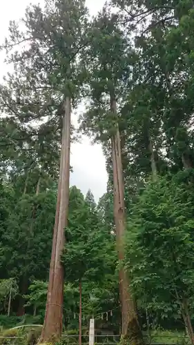 粟鹿神社の自然