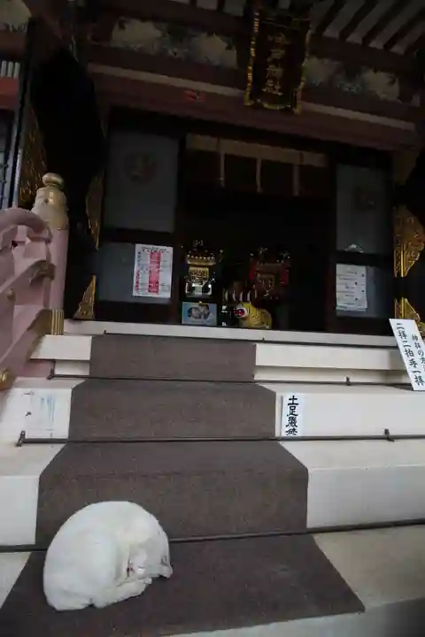 今戸神社の本殿・本堂