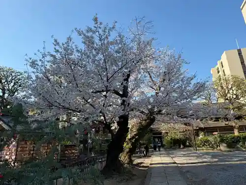 今戸神社(東京都)
