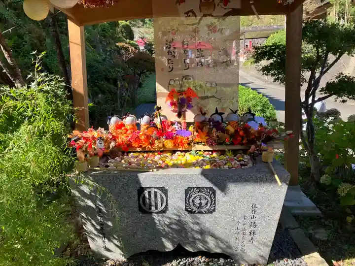 陽林寺(福島県)