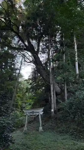 三峯神社(岩手県)