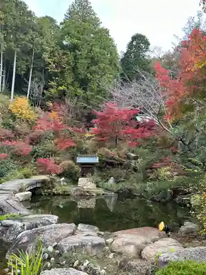 善水寺(滋賀県)