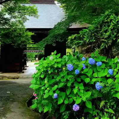 普門寺(切り絵御朱印発祥の寺)(愛知県)