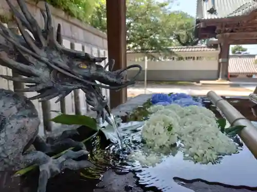 龍口寺(神奈川県)