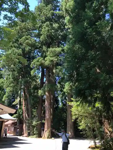 白山比咩神社の自然