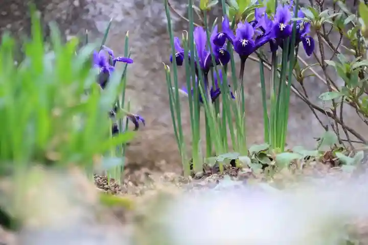 大鏑神社の庭園