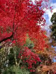 鶏足寺(滋賀県)