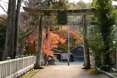 大瀧神社(滋賀県)
