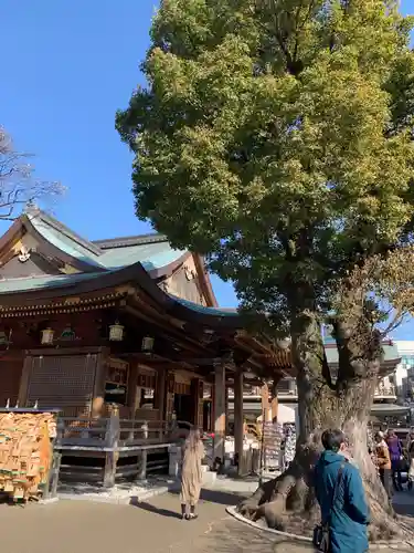湯島天満宮の本殿・本堂