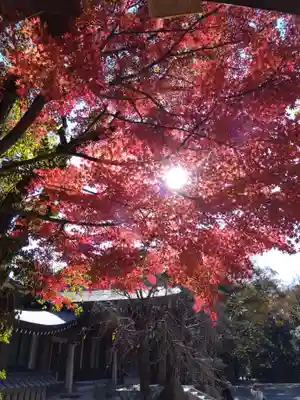 熱田神宮(愛知県)
