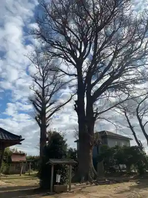 稲生神社(千葉県)