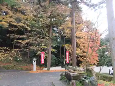 今熊野観音寺(京都府)