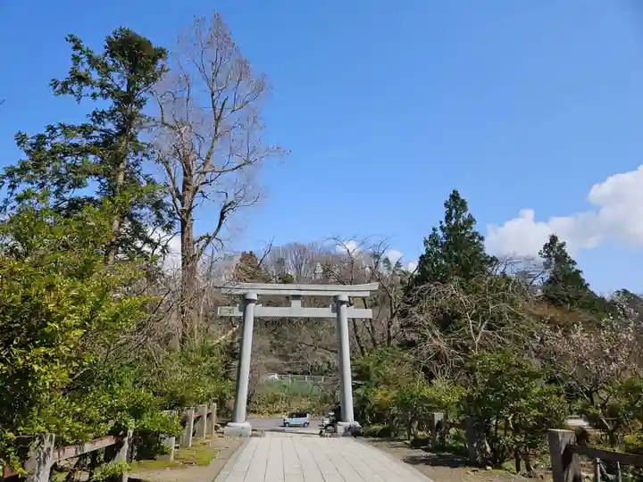 彌彦神社(新潟県)