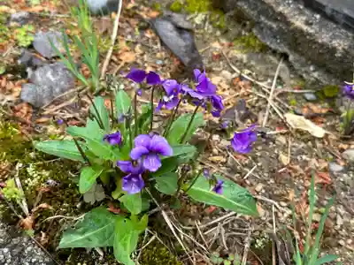 西明寺(山形県)