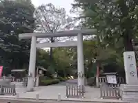 阿佐ヶ谷神明宮の鳥居
