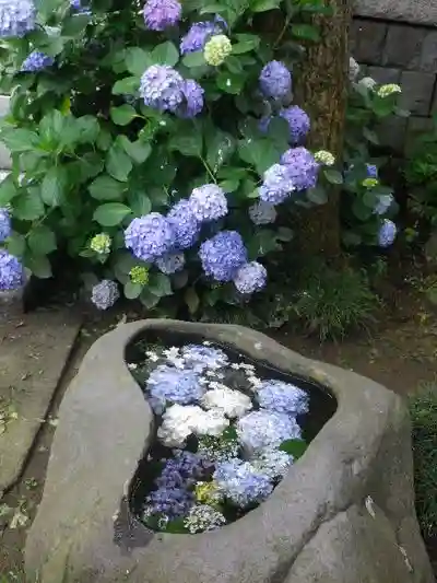 五所神社の手水舎