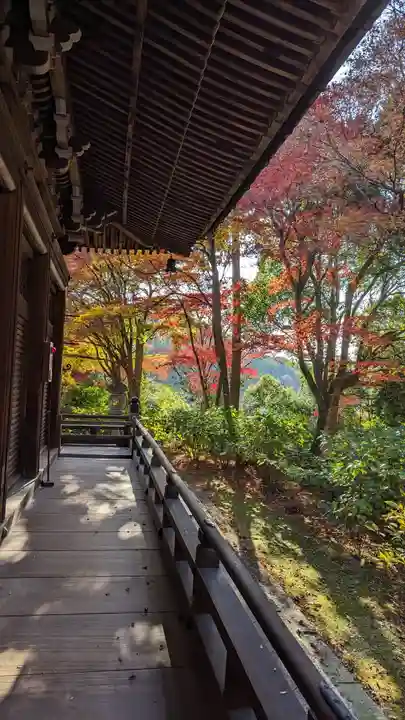 柳谷観音 楊谷寺(京都府)