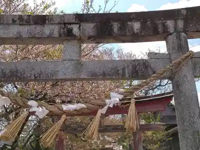 八龍神社の鳥居