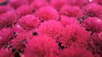 阿邪訶根神社(福島県)