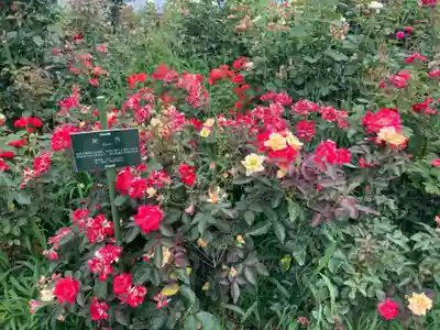 和合神社(福井県)