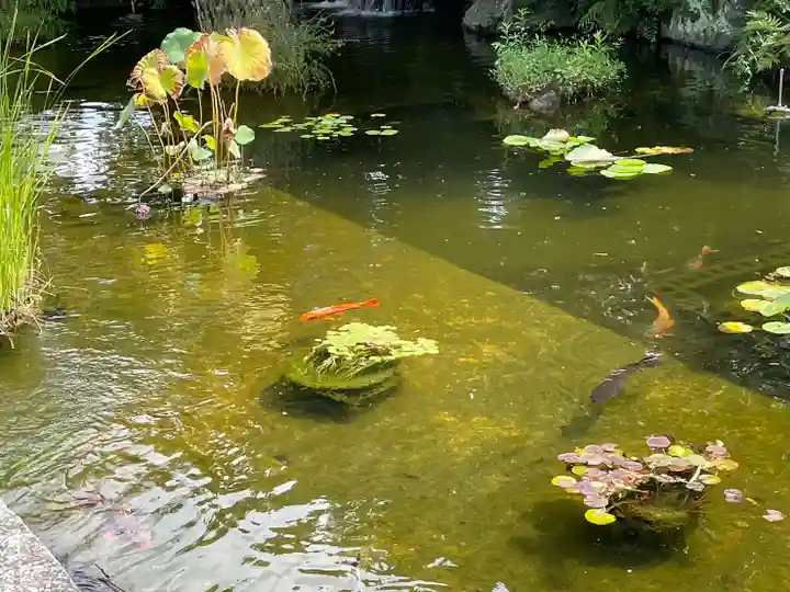 西新井大師総持寺(東京都)
