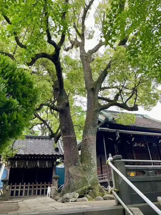 千住氷川神社(東京都)