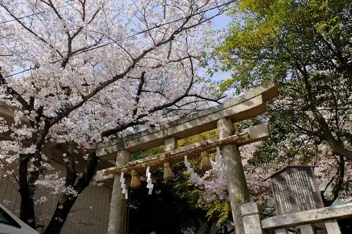 忌宮神社(山口県)